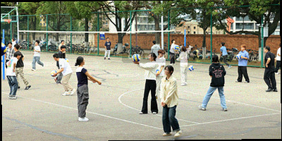 阵容变动趋势图